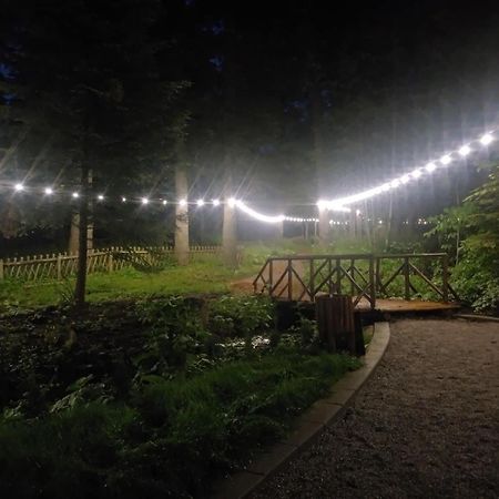 Villa Park - Beniart Studio - Nr 109 - Near Gondola Lift Borovets Ngoại thất bức ảnh