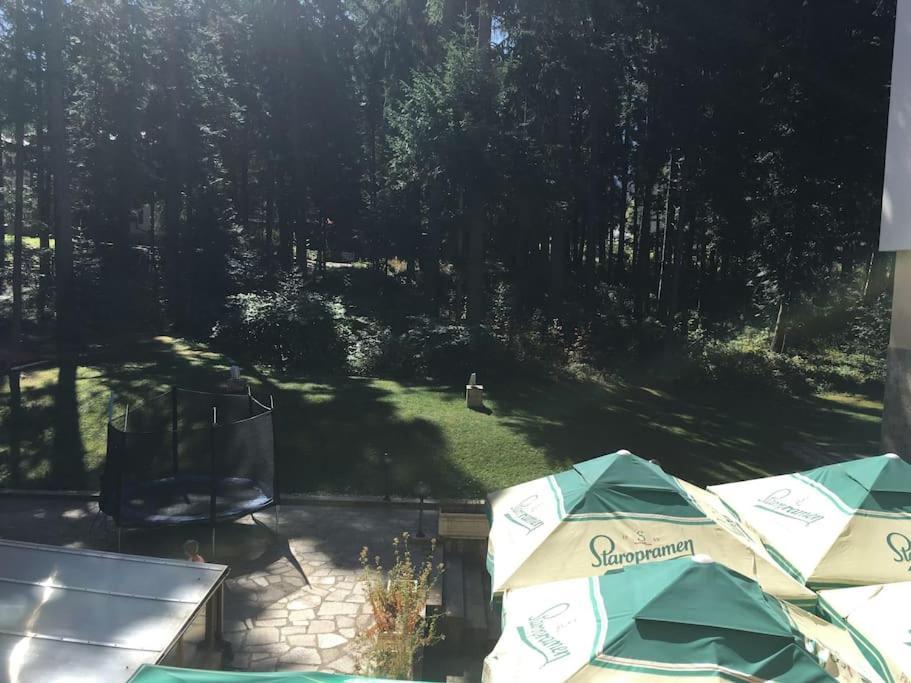 Villa Park - Beniart Studio - Nr 109 - Near Gondola Lift Borovets Ngoại thất bức ảnh