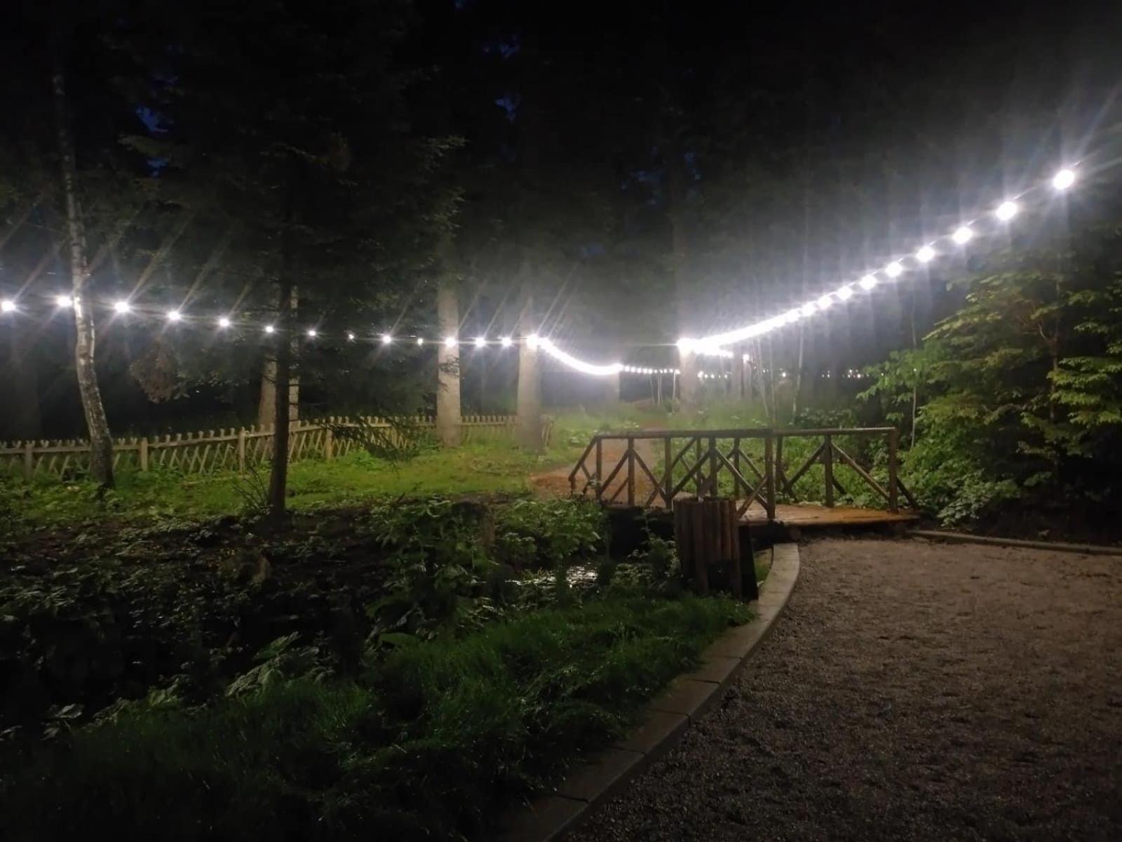Villa Park - Beniart Studio - Nr 109 - Near Gondola Lift Borovets Ngoại thất bức ảnh